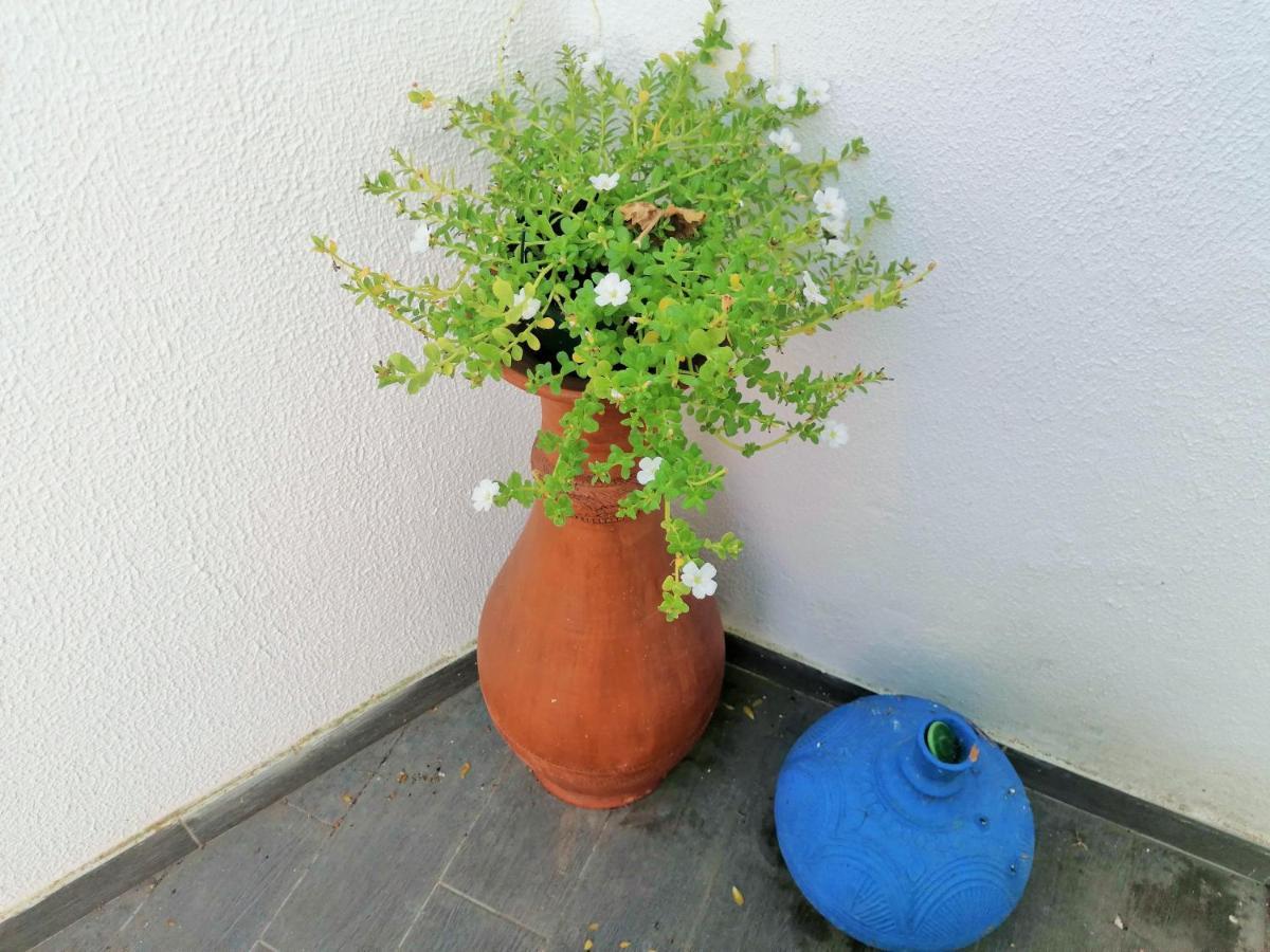 Lilac Homestay セトゥーバル エクステリア 写真