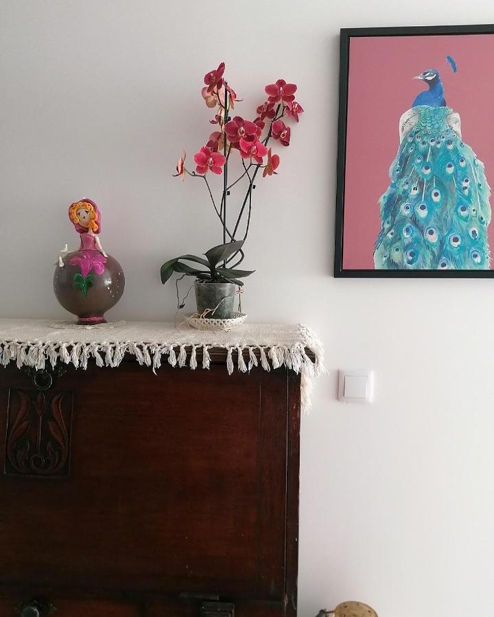 Lilac Homestay セトゥーバル エクステリア 写真